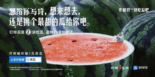 娱乐圈吃瓜文案,揭秘明星们的“瓜田”秘闻